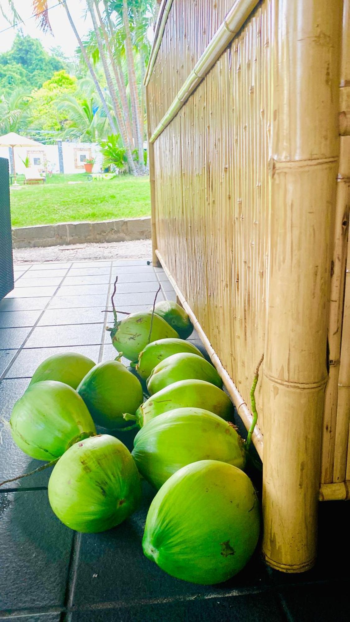 Jaguar House Resort Muine Mũi Né Extérieur photo