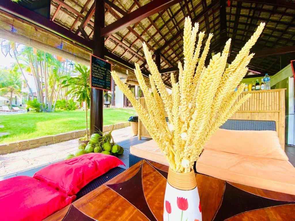 Jaguar House Resort Muine Mũi Né Extérieur photo